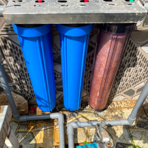 Bộ lọc nước thô 3 cốc 2 inch