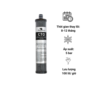 Lõi lọc CTO